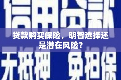南平贷款购买保险，明智选择还是潜在风险？