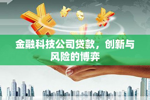 芗城金融科技公司贷款，创新与风险的博弈