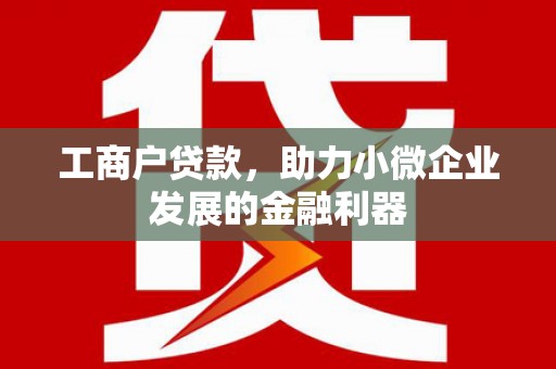 云霄工商户贷款，助力小微企业发展的金融利器