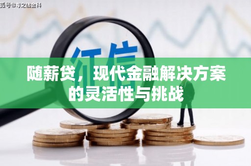 北投随薪贷，现代金融解决方案的灵活性与挑战
