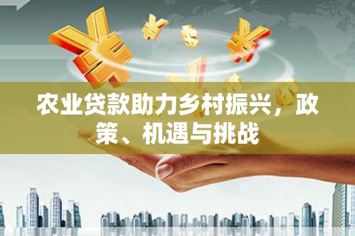 岱山农业贷款助力乡村振兴，政策、机遇与挑战