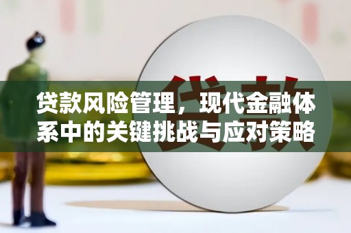 大堂贷款风险管理，现代金融体系中的关键挑战与应对策略