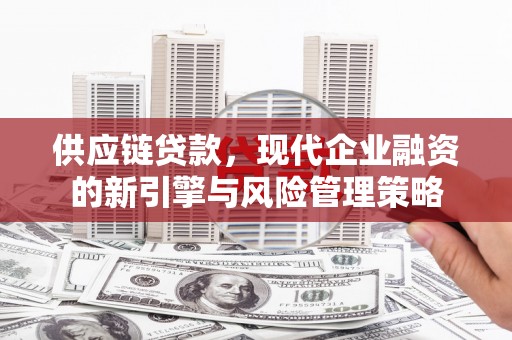 南乐供应链贷款，现代企业融资的新引擎与风险管理策略