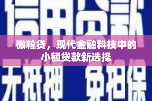 长安微粒贷，现代金融科技中的小额贷款新选择