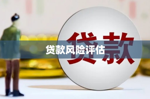 呼玛贷款风险评估