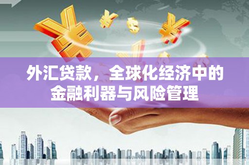 山上外汇贷款，全球化经济中的金融利器与风险管理