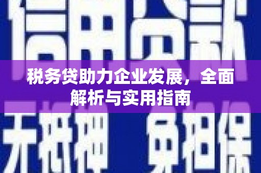 沙洋税务贷助力企业发展，全面解析与实用指南