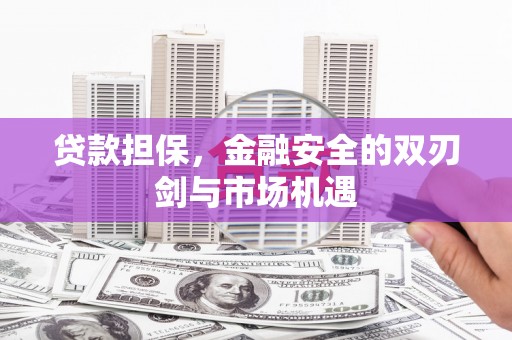 呼和浩特贷款担保，金融安全的双刃剑与市场机遇
