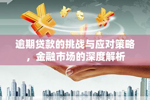 即墨逾期贷款的挑战与应对策略，金融市场的深度解析