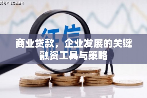 遂昌商业贷款，企业发展的关键融资工具与策略