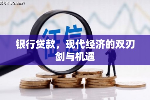 丽水银行贷款，现代经济的双刃剑与机遇