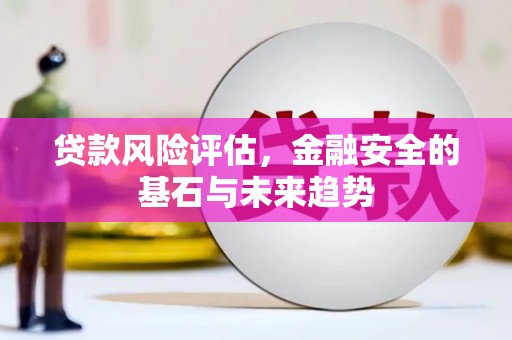 桃江贷款风险评估，金融安全的基石与未来趋势