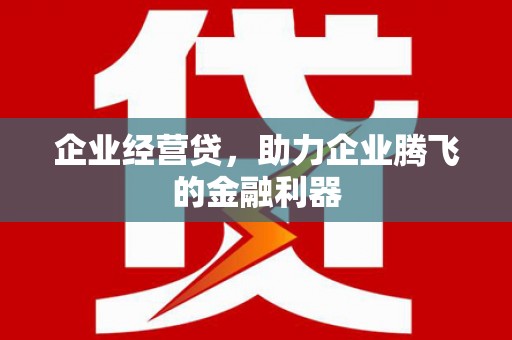 西林企业经营贷，助力企业腾飞的金融利器