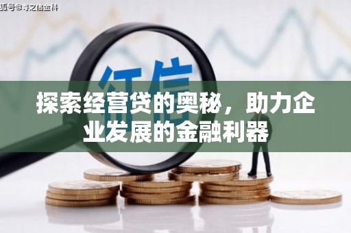 阜康探索经营贷的奥秘，助力企业发展的金融利器