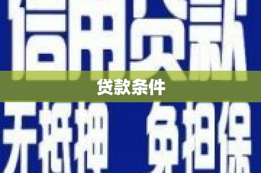 田林贷款条件