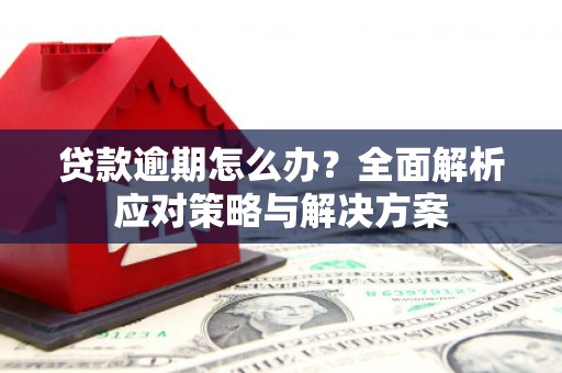 会理贷款逾期怎么办？全面解析应对策略与解决方案