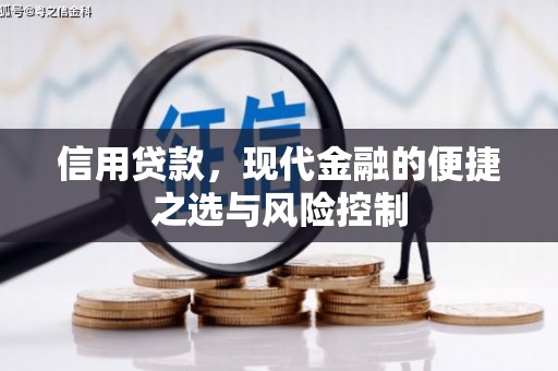 丰都信用贷款，现代金融的便捷之选与风险控制