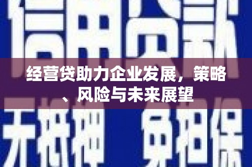 丰县经营贷助力企业发展，策略、风险与未来展望