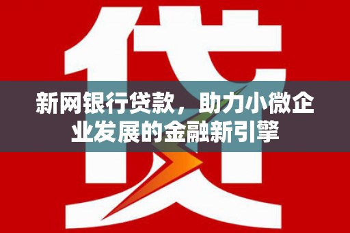 洛扎新网银行贷款，助力小微企业发展的金融新引擎
