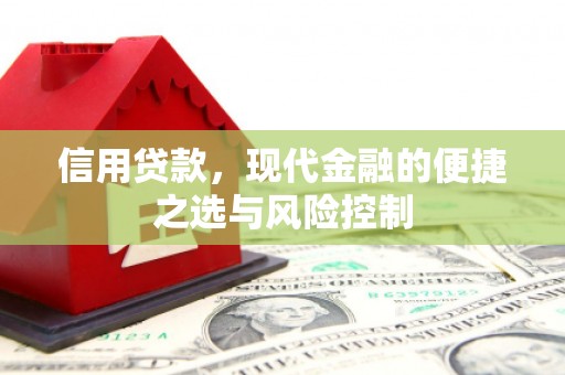庆元信用贷款，现代金融的便捷之选与风险控制