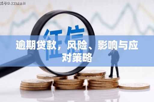 朱家尖逾期贷款，风险、影响与应对策略