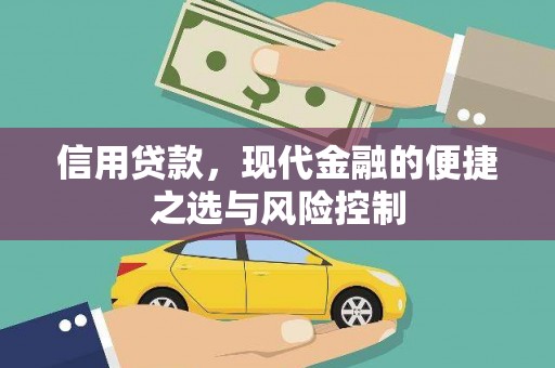 永德信用贷款，现代金融的便捷之选与风险控制