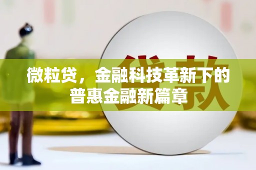 安阳微粒贷，金融科技革新下的普惠金融新篇章