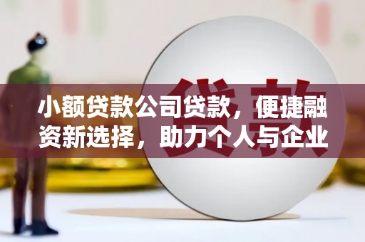 西屿小额贷款公司贷款，便捷融资新选择，助力个人与企业成长