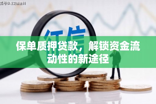 秦淮保单质押贷款，解锁资金流动性的新途径