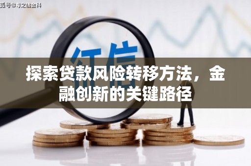 洋山探索贷款风险转移方法，金融创新的关键路径