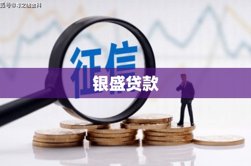 开阳银盛贷款