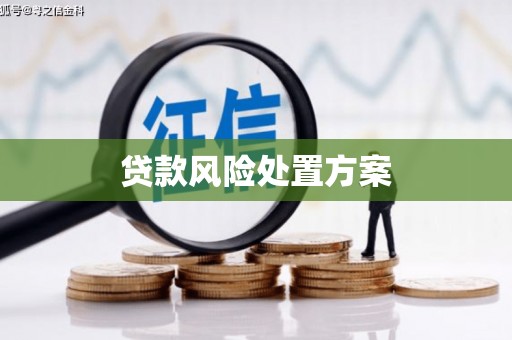 燕郊贷款风险处置方案
