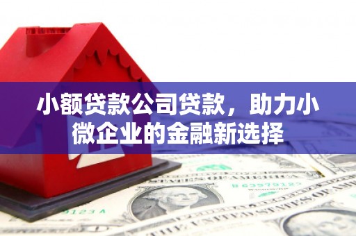 灵宝小额贷款公司贷款，助力小微企业的金融新选择