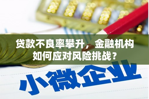 施秉贷款不良率攀升，金融机构如何应对风险挑战？