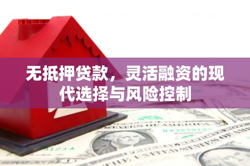 蒲江无抵押贷款，灵活融资的现代选择与风险控制