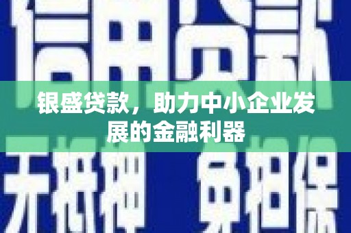 普宁银盛贷款，助力中小企业发展的金融利器