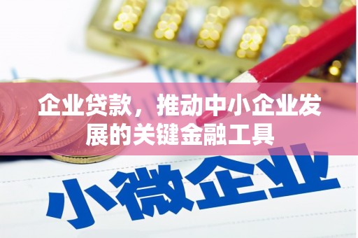 大林企业贷款，推动中小企业发展的关键金融工具