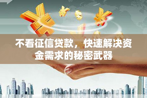 卢龙不看征信贷款，快速解决资金需求的秘密武器