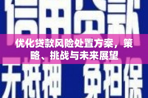 南召优化贷款风险处置方案，策略、挑战与未来展望