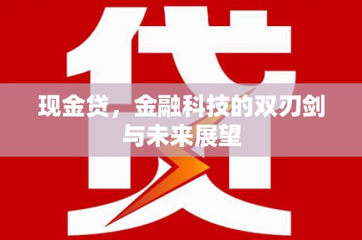 上林现金贷，金融科技的双刃剑与未来展望