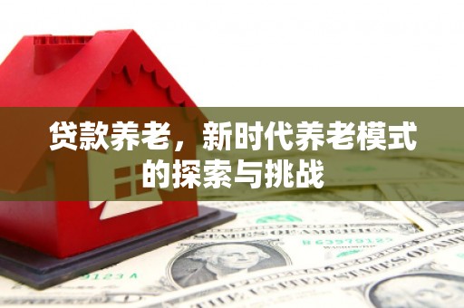 安图贷款养老，新时代养老模式的探索与挑战