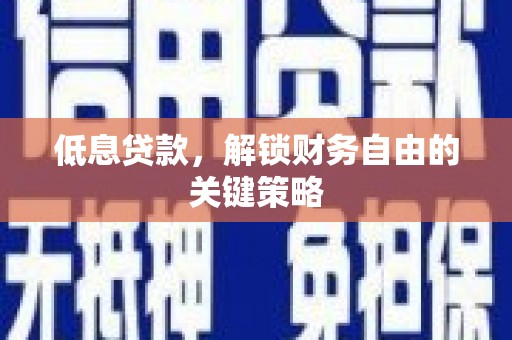 暖暖低息贷款，解锁财务自由的关键策略