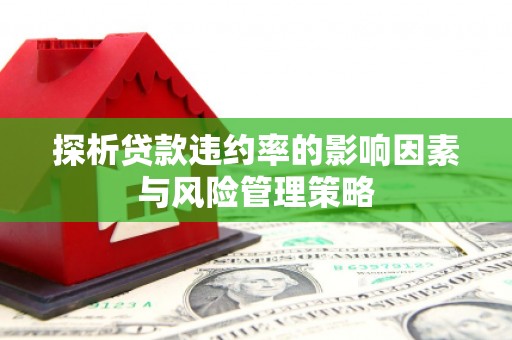 南屯探析贷款违约率的影响因素与风险管理策略