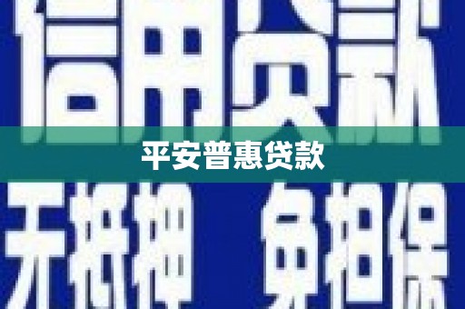 宝兴平安普惠贷款