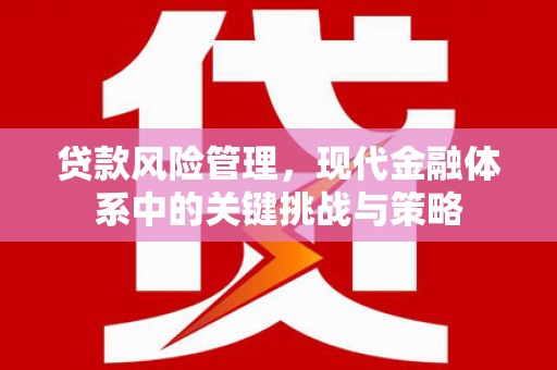 西盟贷款风险管理，现代金融体系中的关键挑战与策略