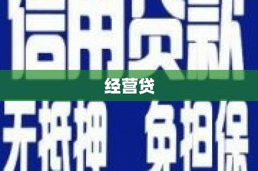 大方经营贷