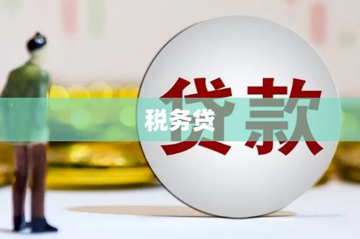 孟村税务贷