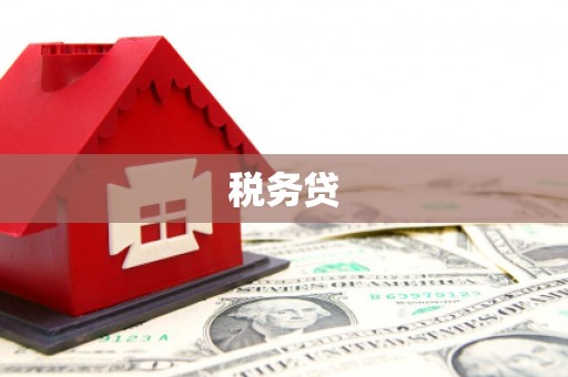 大名税务贷