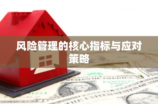 普兰店风险管理的核心指标与应对策略