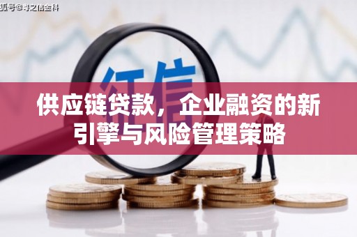 沐川供应链贷款，企业融资的新引擎与风险管理策略